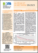 les 4 pages peche_nectarine